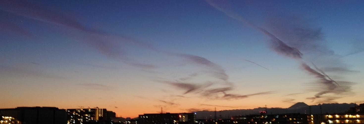 レビュアーのカバー画像