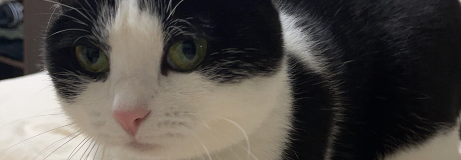 レビュアーのカバー画像