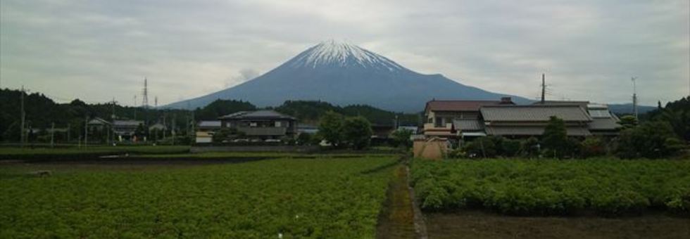 レビュアーのカバー画像
