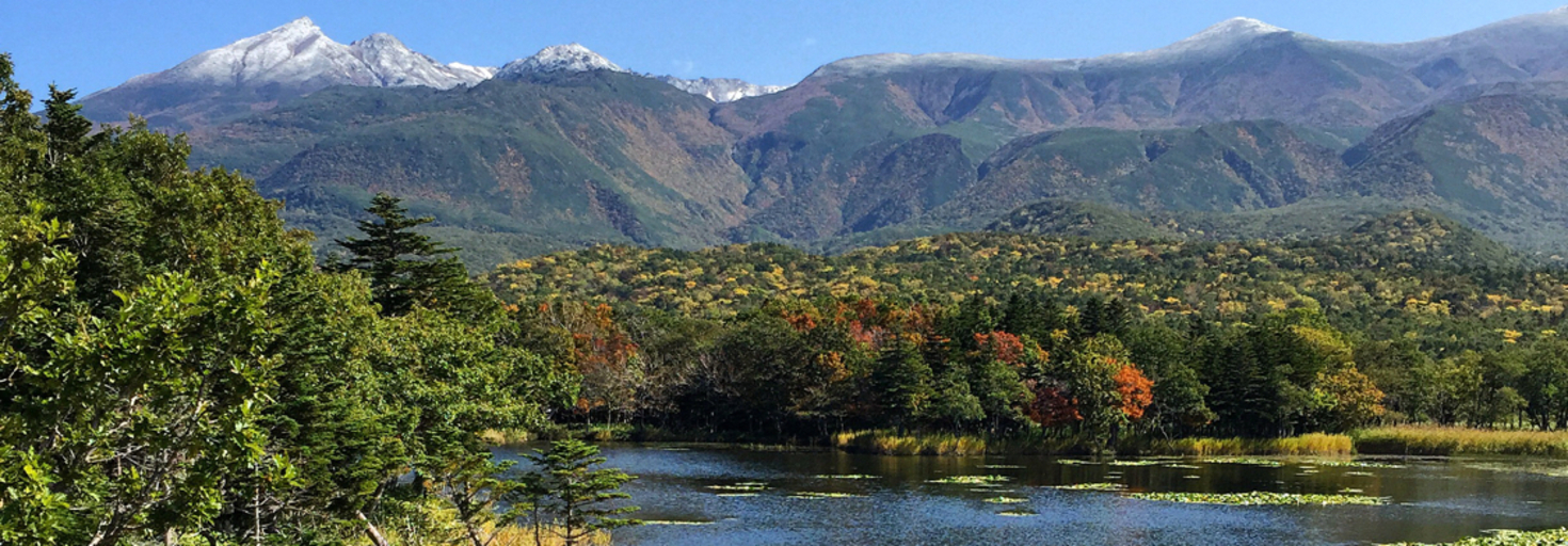 レビュアーのカバー画像