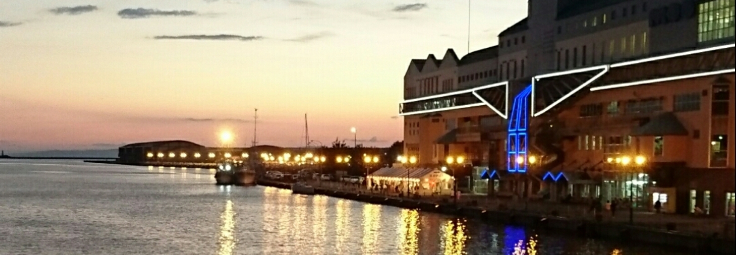 レビュアーのカバー画像