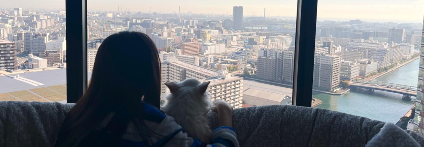 レビュアーのカバー画像