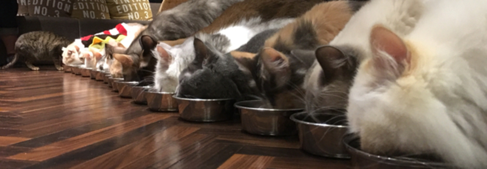 レビュアーのカバー画像