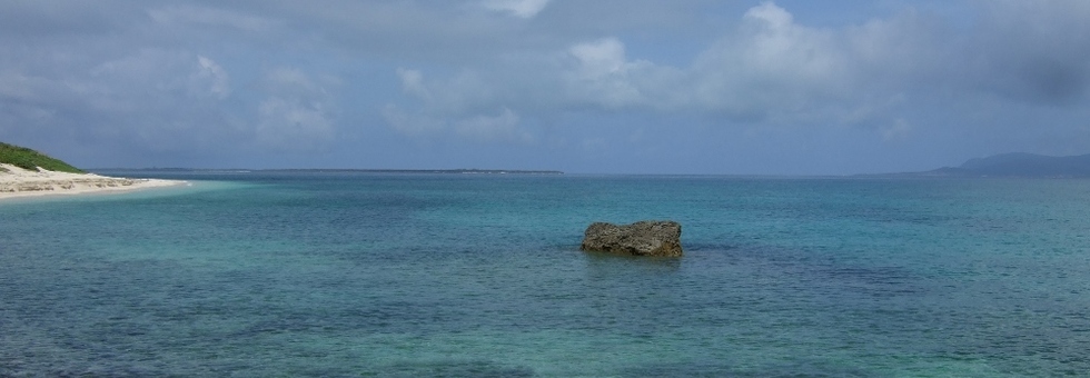 レビュアーのカバー画像