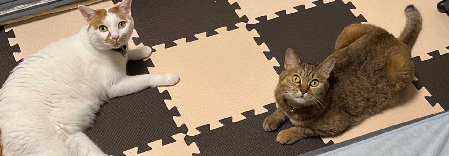 レビュアーのカバー画像