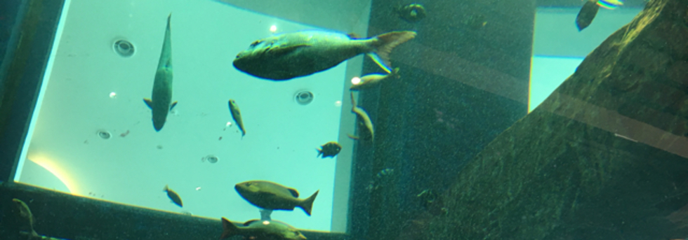 レビュアーのカバー画像