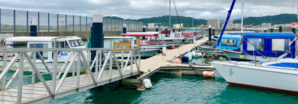 レビュアーのカバー画像