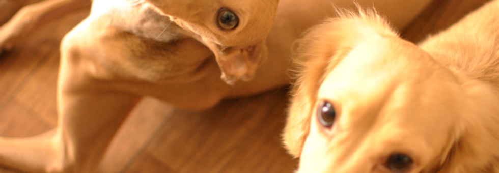 レビュアーのカバー画像