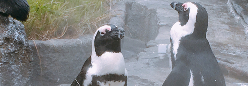 レビュアーのカバー画像