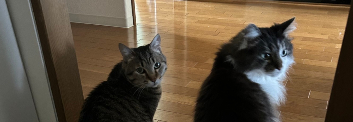 レビュアーのカバー画像