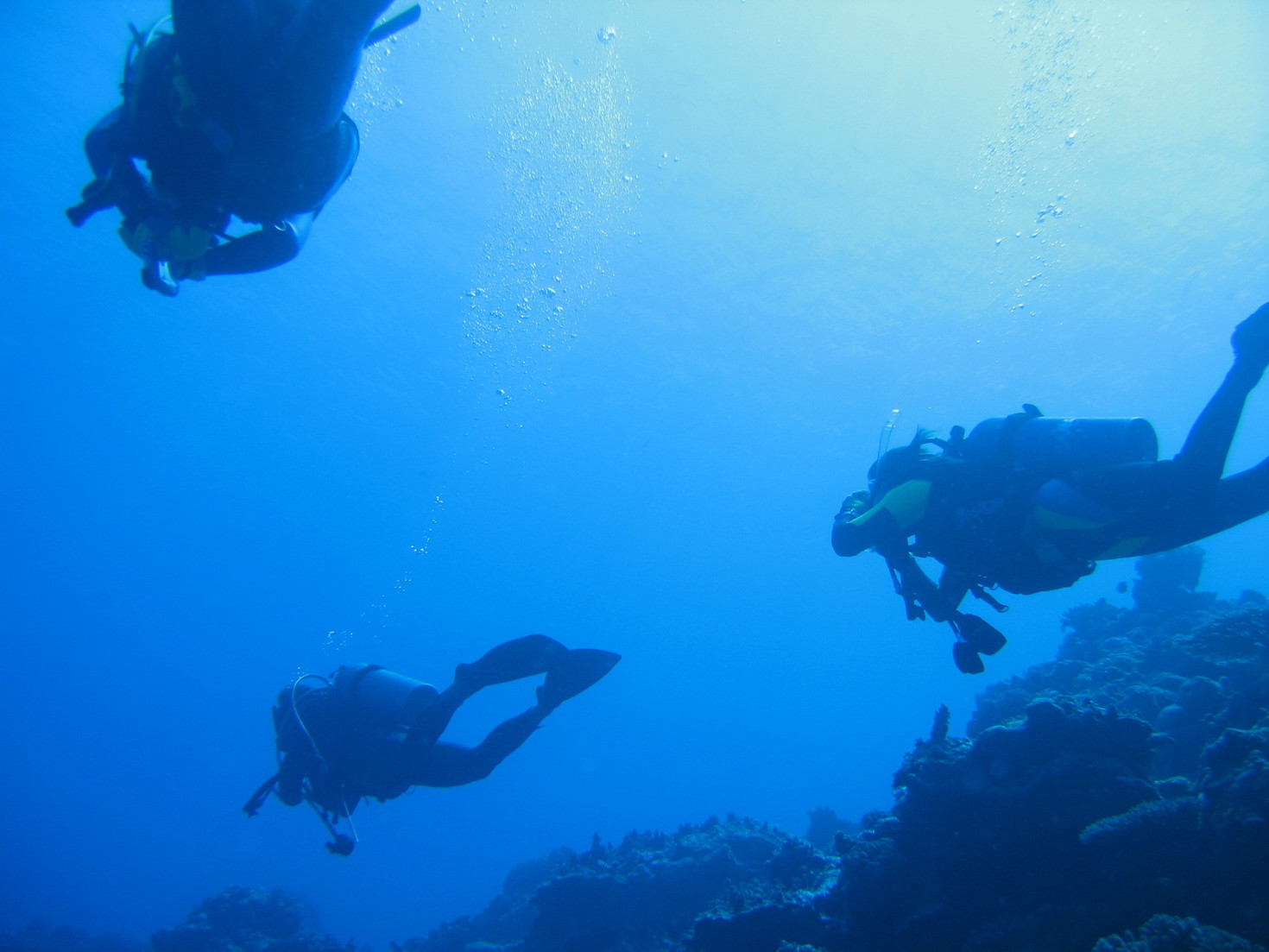 レビュアーのカバー画像