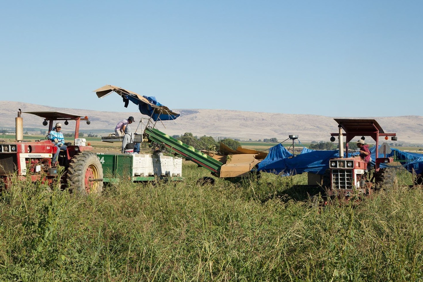 レビュアーのカバー画像