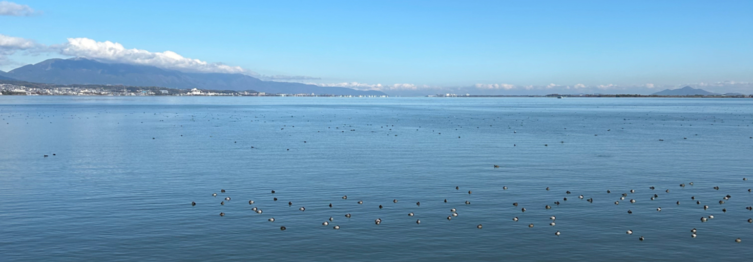 レビュアーのカバー画像