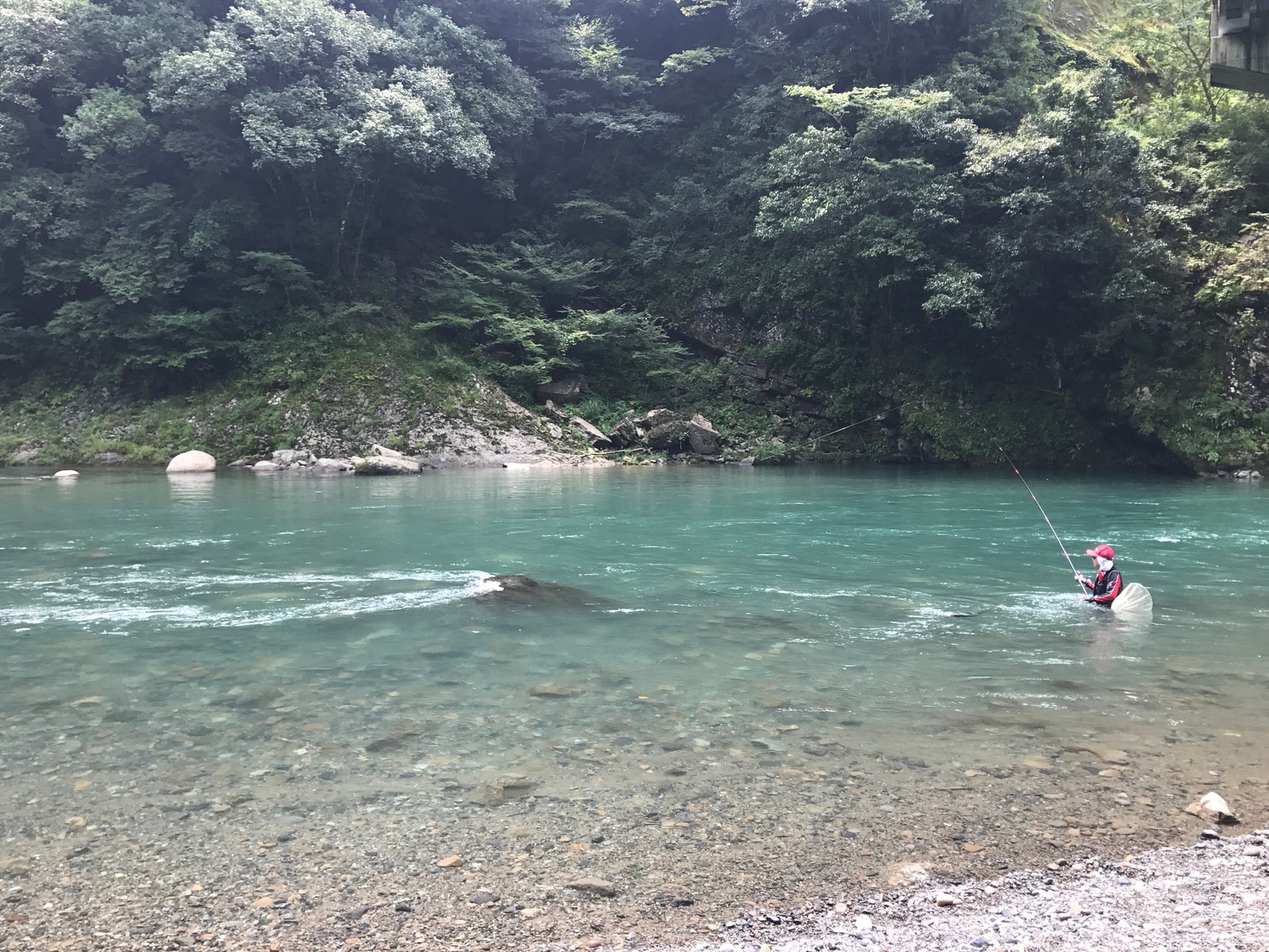 レビュアーのカバー画像