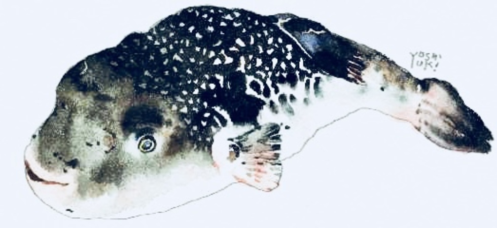 レビュアーのカバー画像