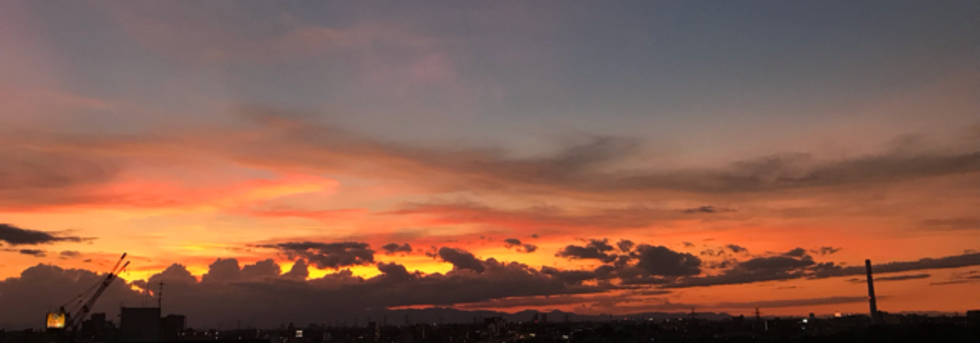 レビュアーのカバー画像