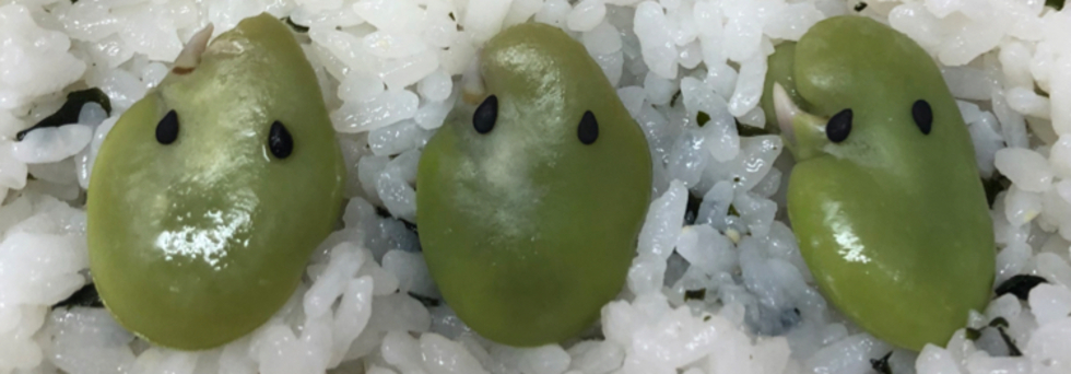 レビュアーのカバー画像