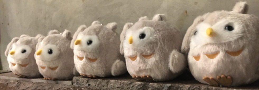 レビュアーのカバー画像