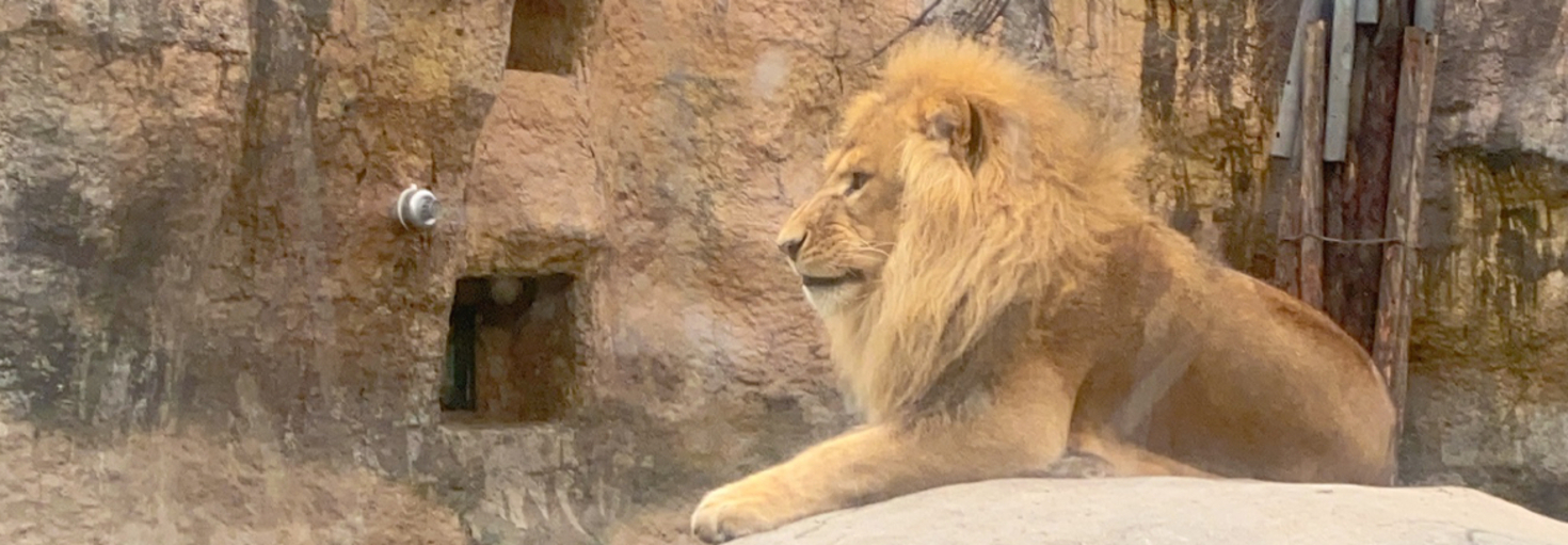 レビュアーのカバー画像