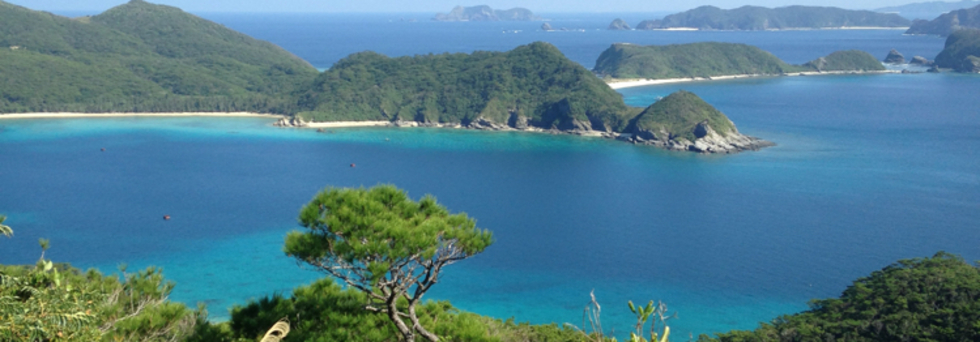 レビュアーのカバー画像