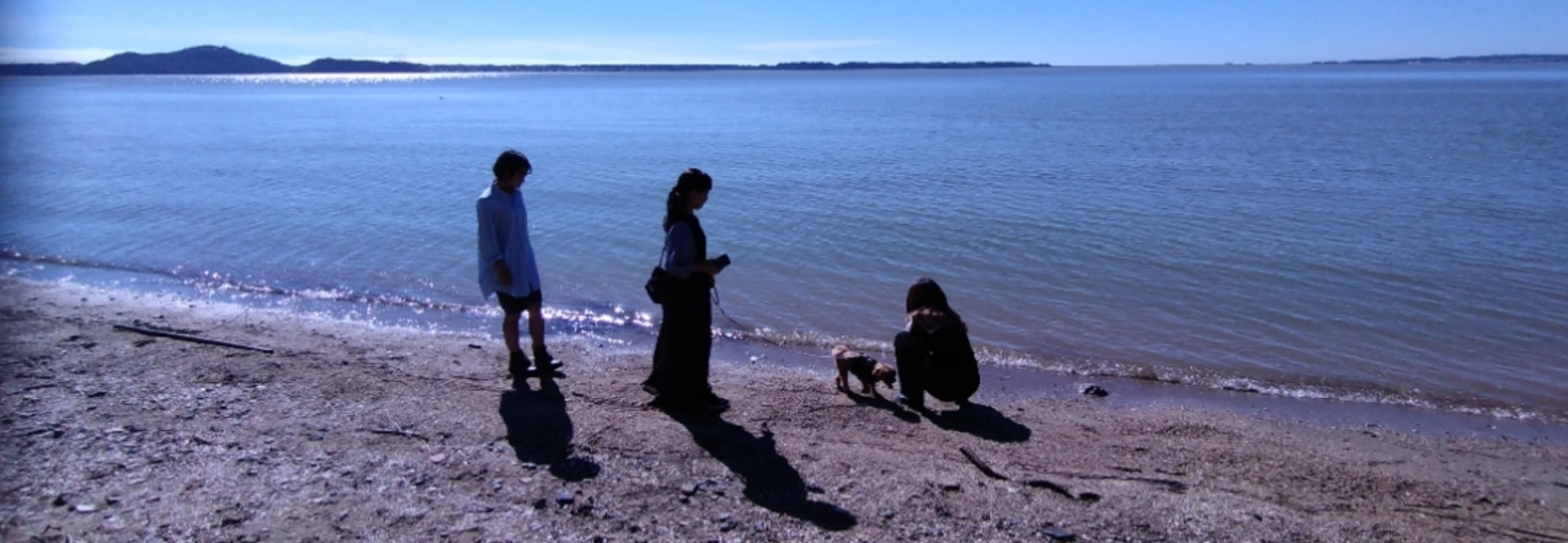 レビュアーのカバー画像