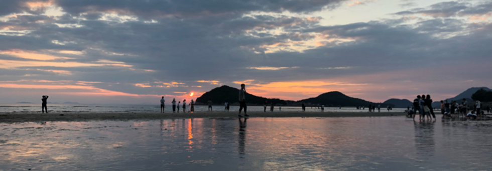 レビュアーのカバー画像