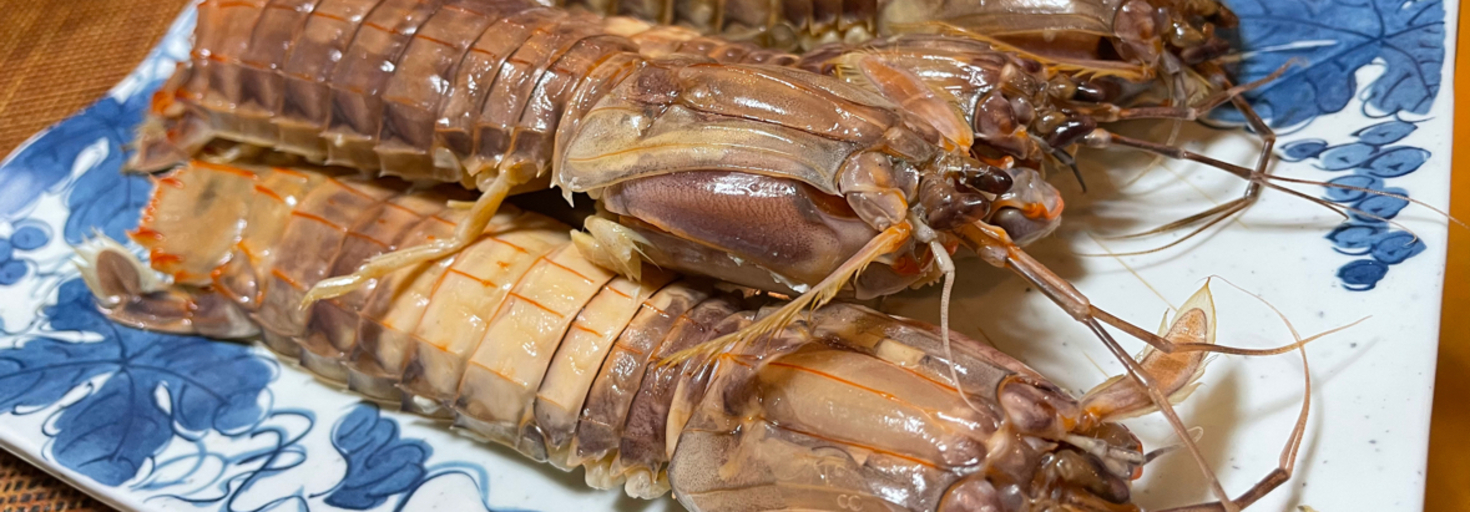 レビュアーのカバー画像