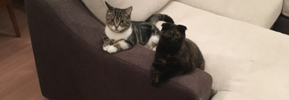 レビュアーのカバー画像