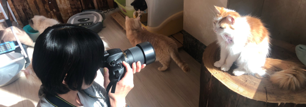 レビュアーのカバー画像