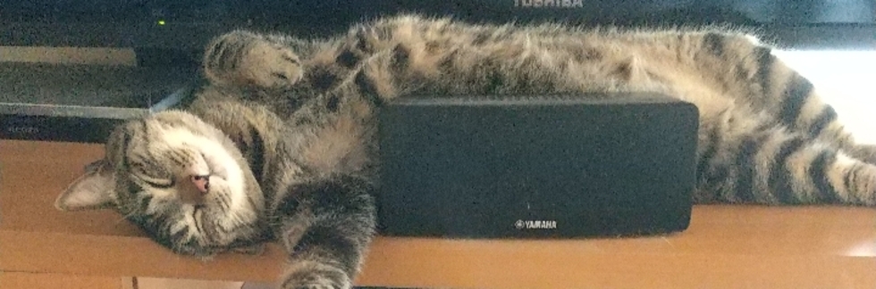 レビュアーのカバー画像