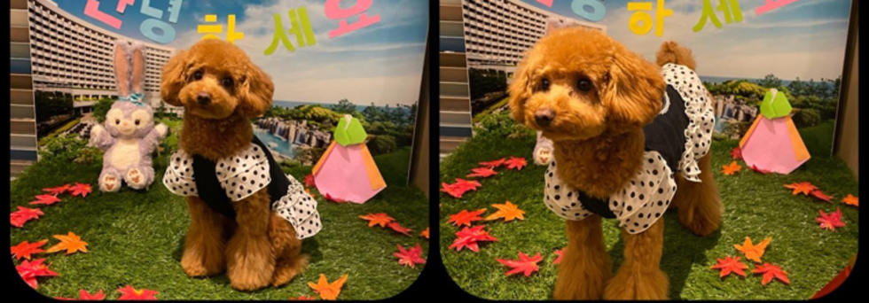 レビュアーのカバー画像