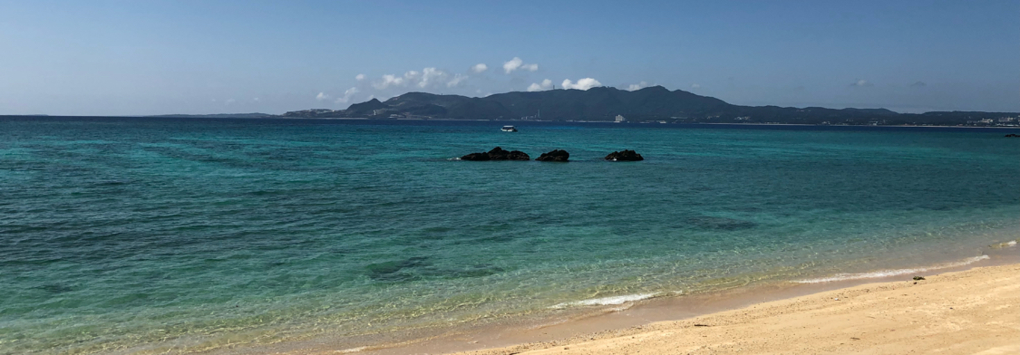 レビュアーのカバー画像