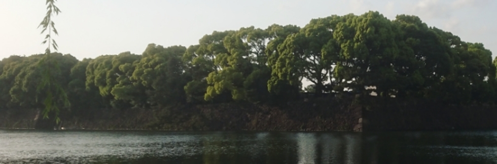 レビュアーのカバー画像