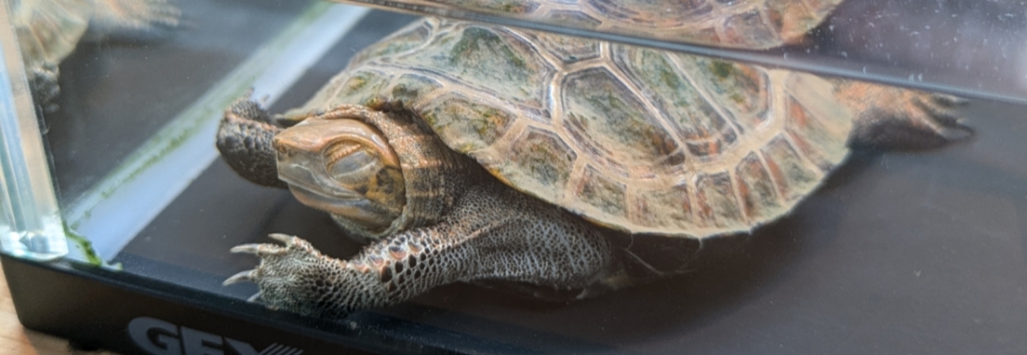 レビュアーのカバー画像