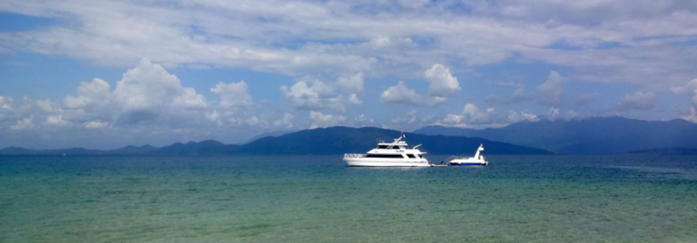 レビュアーのカバー画像