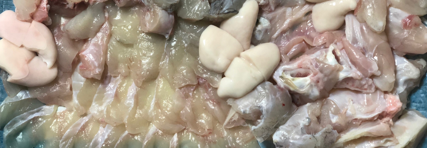 レビュアーのカバー画像