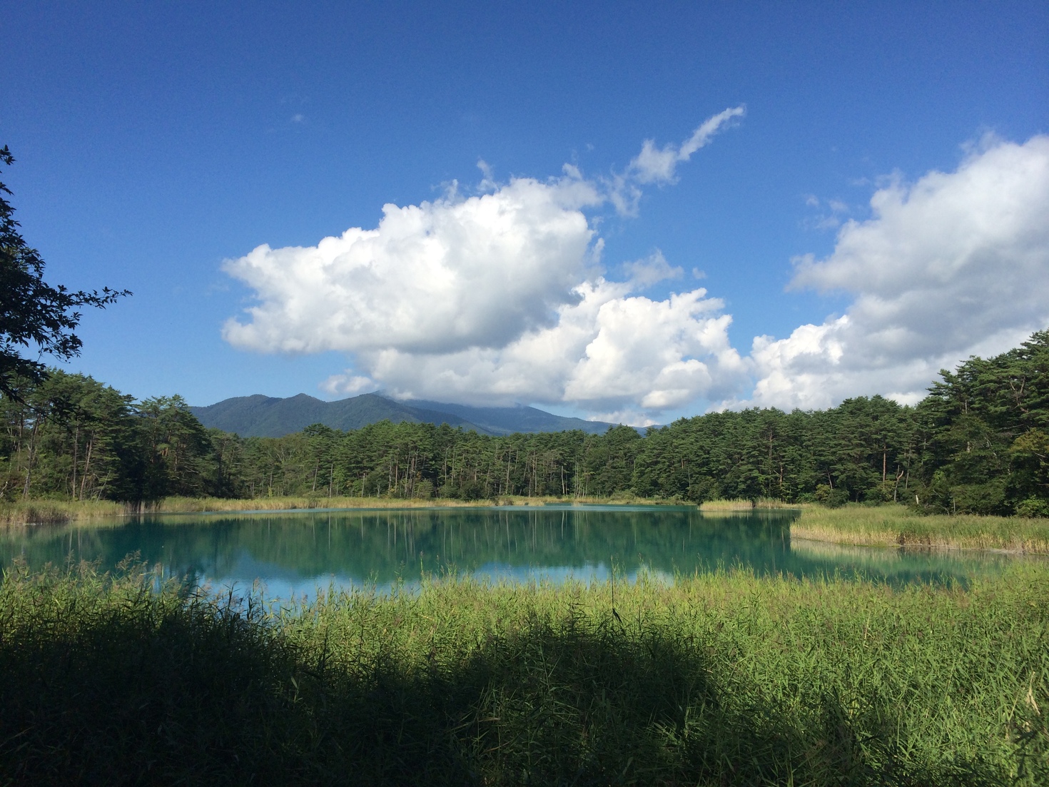 レビュアーのカバー画像