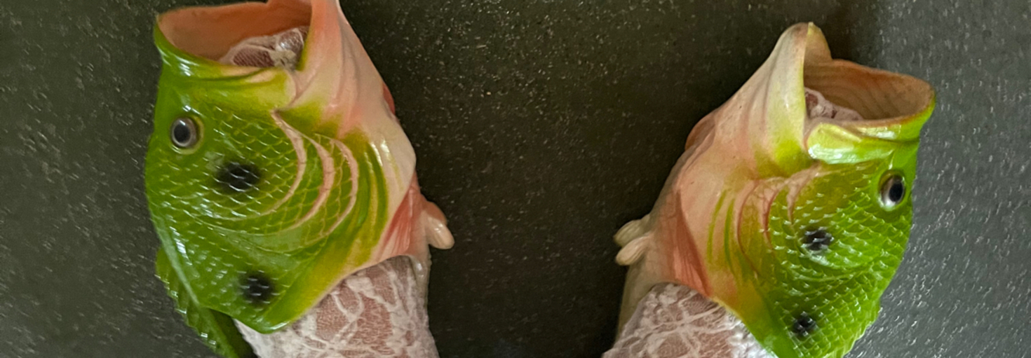 レビュアーのカバー画像