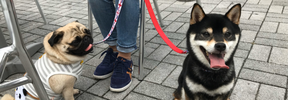 レビュアーのカバー画像