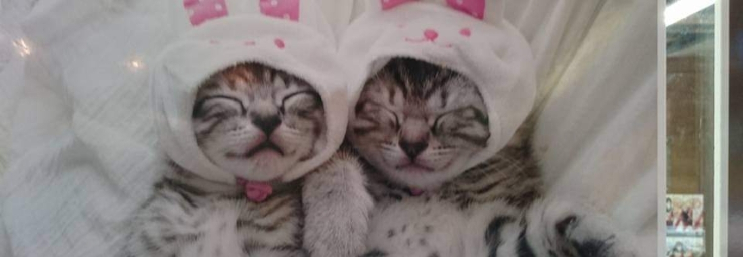 レビュアーのカバー画像