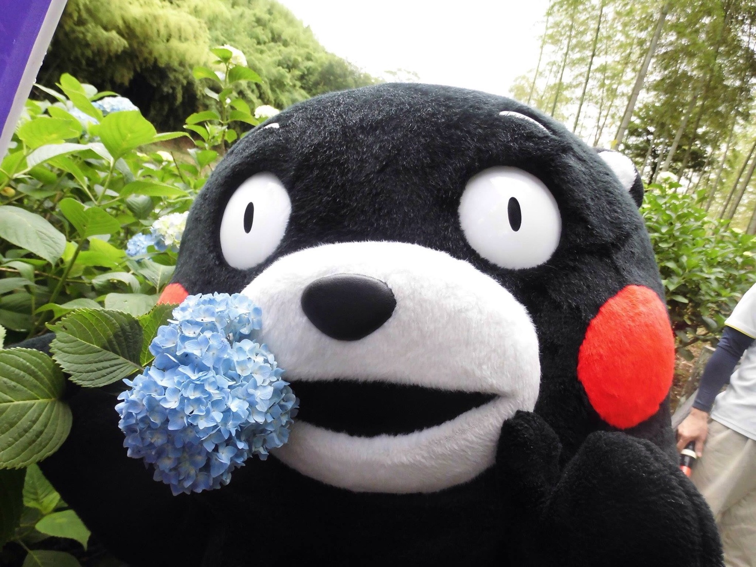 レビュアーのカバー画像