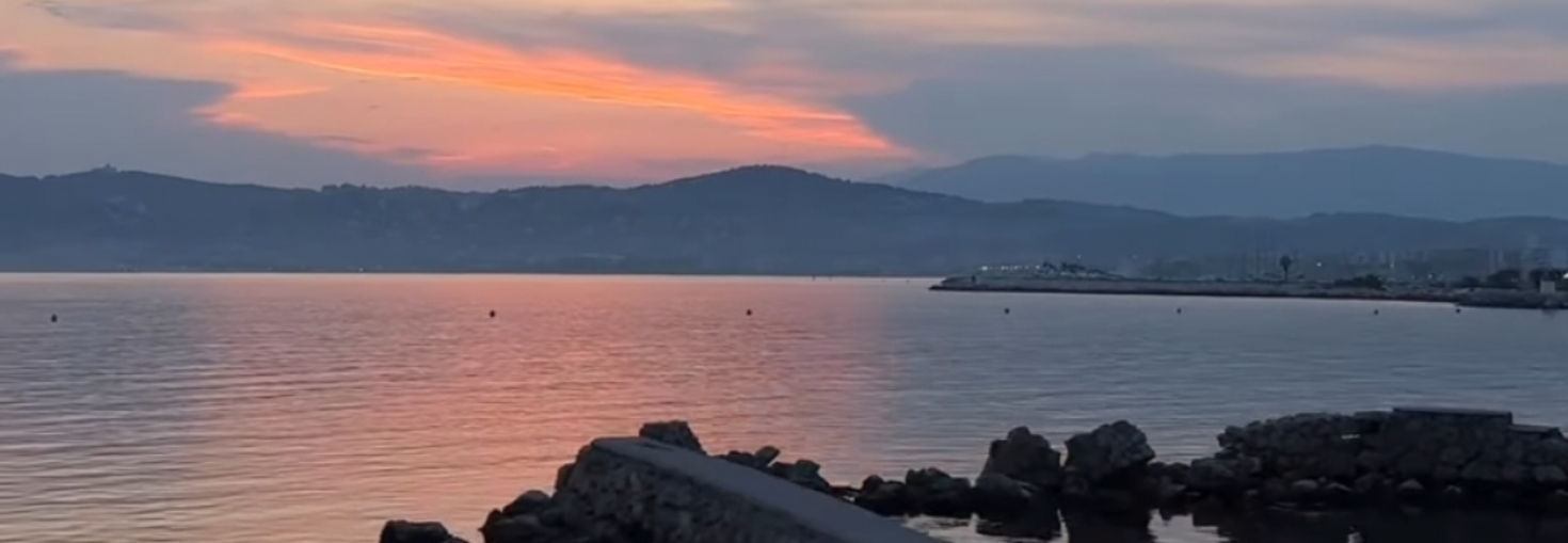 レビュアーのカバー画像