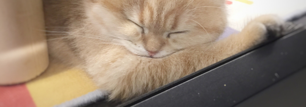 レビュアーのカバー画像