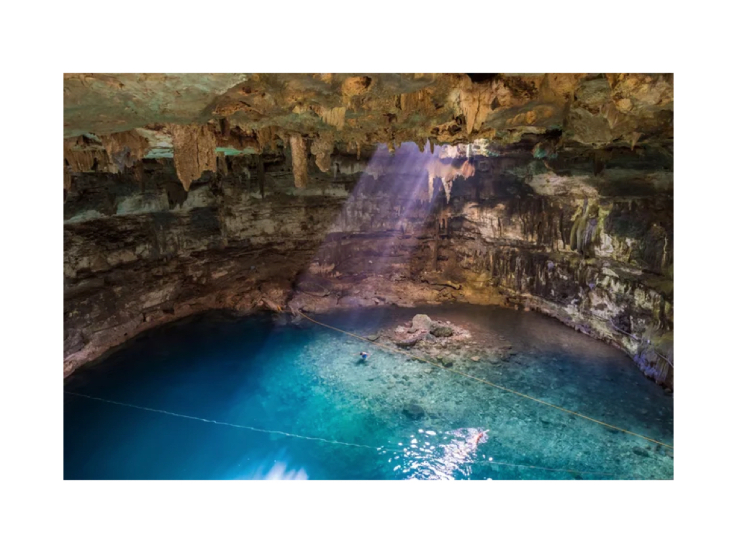 レビュアーのカバー画像