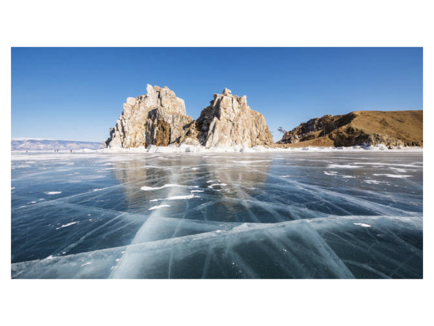 レビュアーのカバー画像