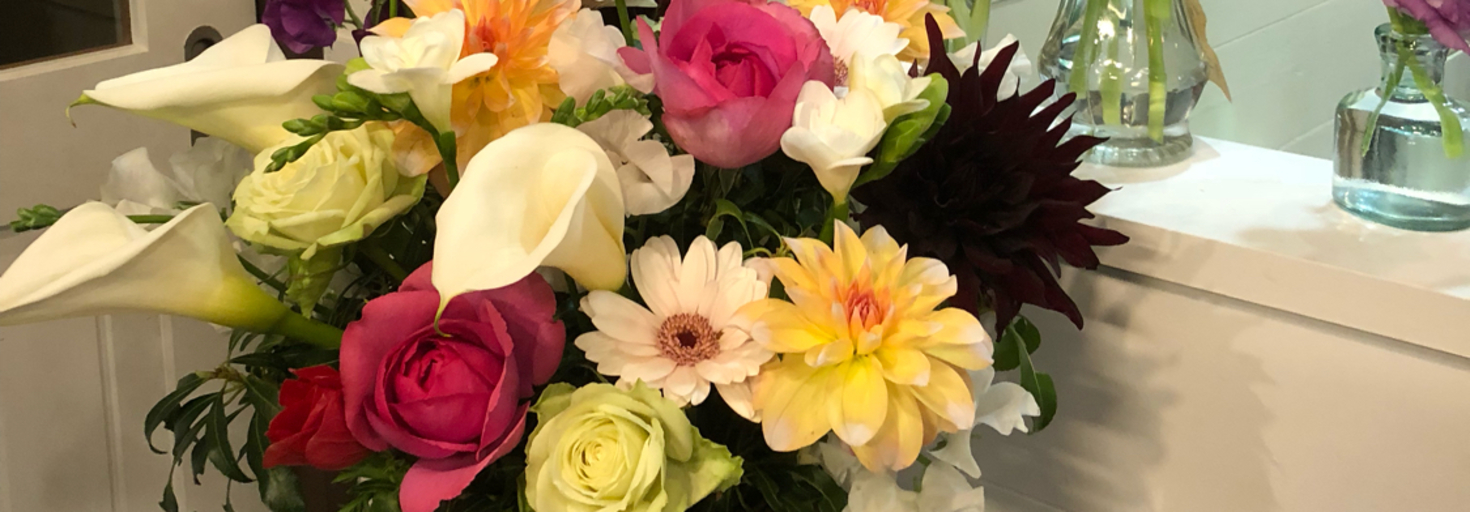 レビュアーのカバー画像