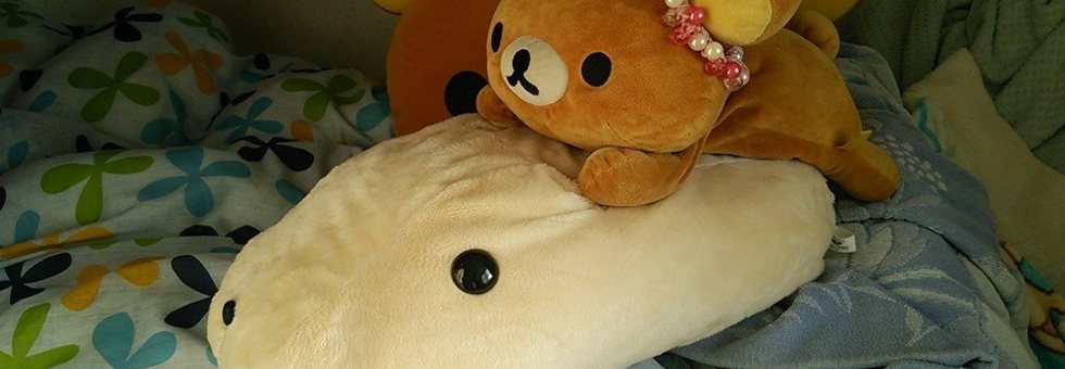 レビュアーのカバー画像