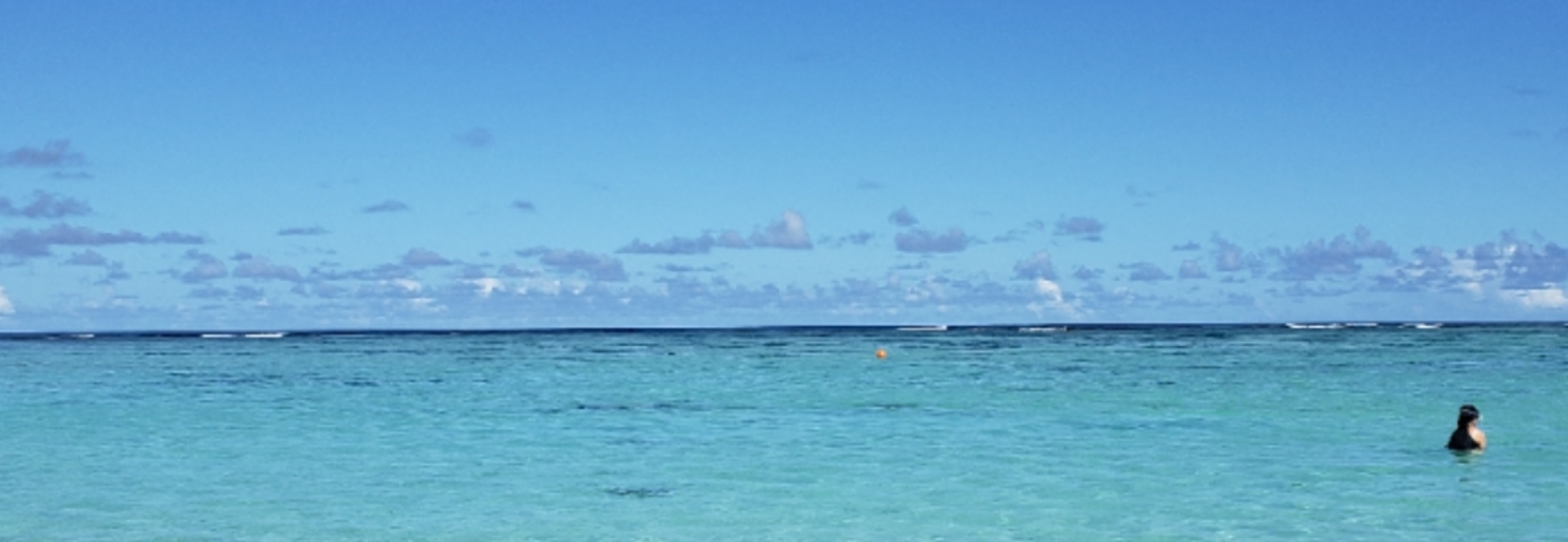 レビュアーのカバー画像