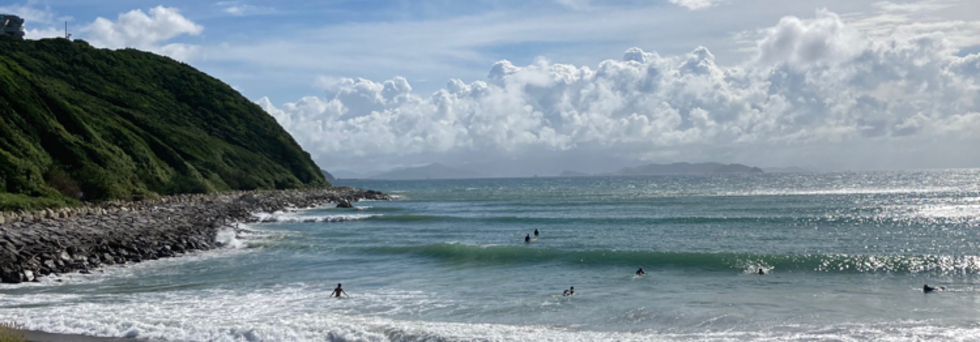 レビュアーのカバー画像