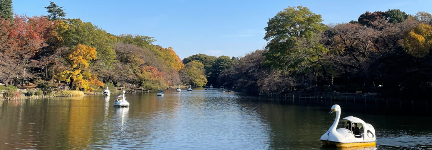 レビュアーのカバー画像